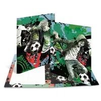 HERMA Sammelmappen A3 Karton Street Soccer