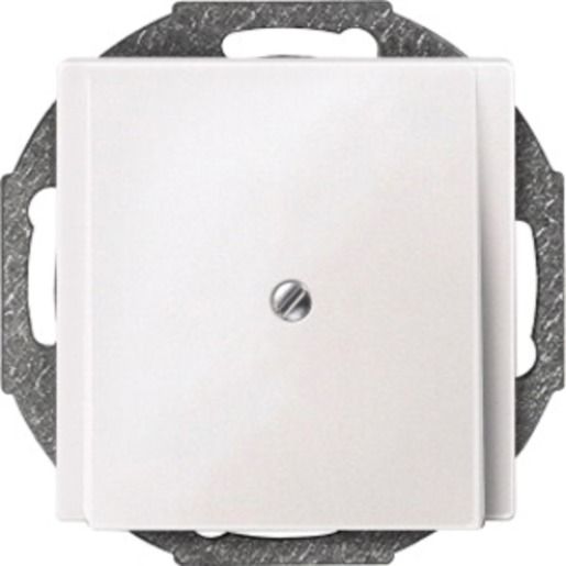 Merten ZENTRALPLATTE LEITUNGSAUSLASS / MERTEN 2956 19 PWS 295619