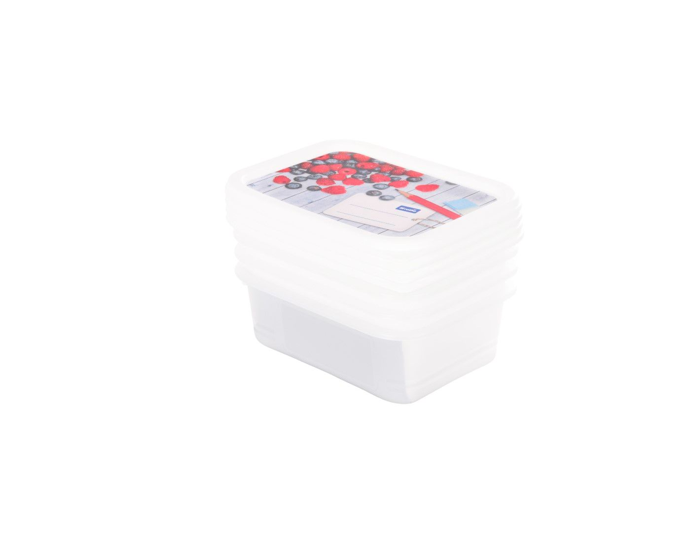 Rotho Set Gefrierdosen 4 x 0.5 l DOMINO