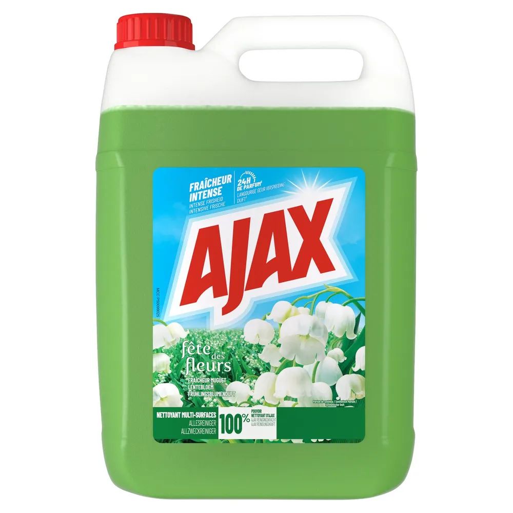 Ajax FdF Frühlingsblumenduft  5 L