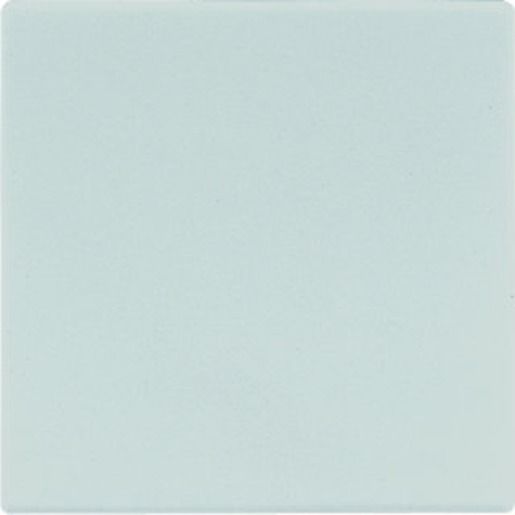 Jung WIPPE F. SCHALTER/TASTER / JUNG LS990LG