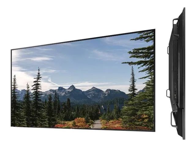AG Neovo PD-65Q - 165 cm (65") Diagonalklasse (163.8 cm (64.5")