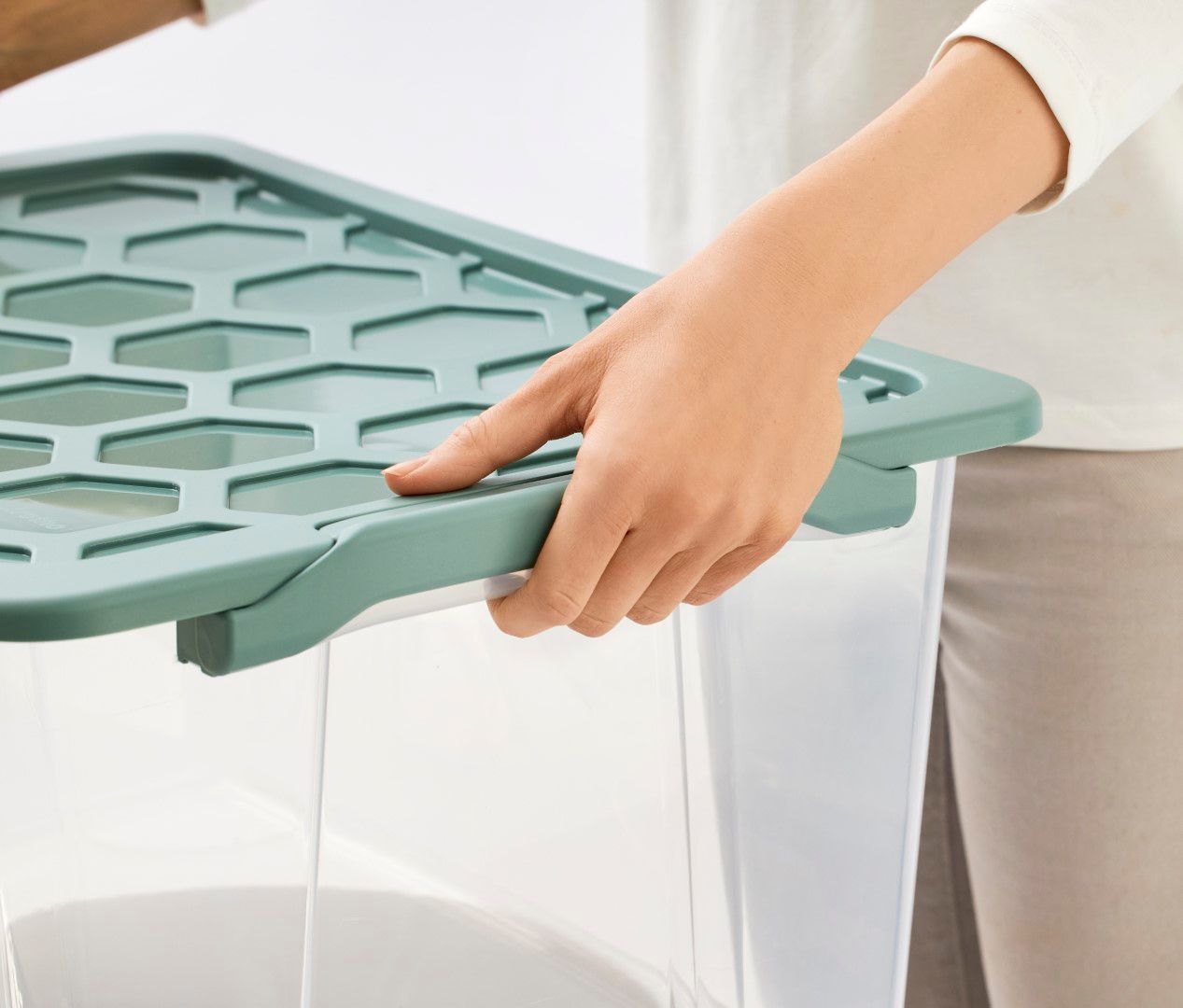 Rotho Box m. Rädern 65 l EVO SAFE