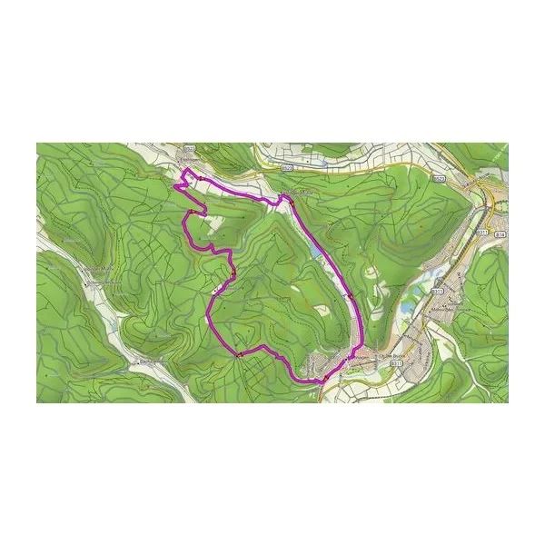 Garmin TOPO DEUTSCHLAND V9 PRO