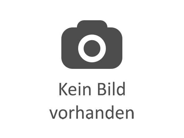 HEOSolution HEOSafe Security Paket FD 250-290 S