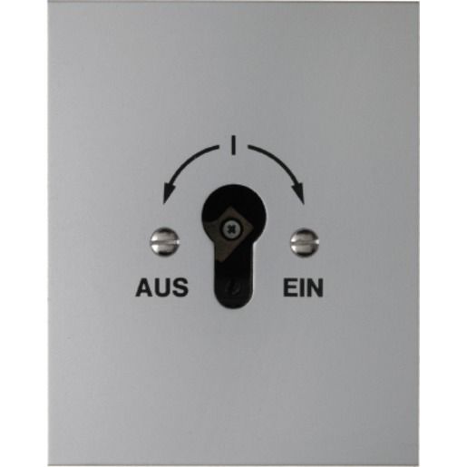 Berker SCHLÜSS.SCHALT.DIN WS 2P.WSG U / BERKER 4416