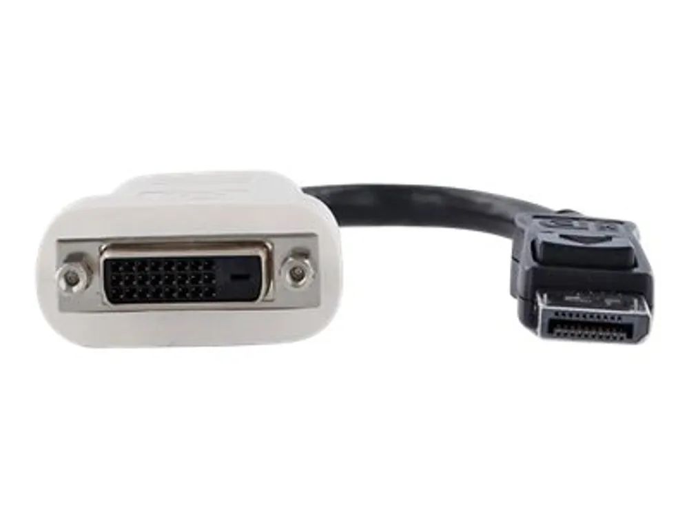 StarTech.com DisplayPort Adapter auf DVI - DP (Stecker)