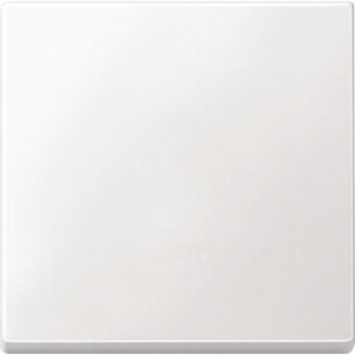 Merten WIPPE DUROPLAST / MERTEN 4341 19 SYS.M PWS GL 434119