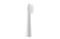 Panasonic WEW0972W503 - 2 Stück(e) - Weiß - EW-DW81 - EW-DW81