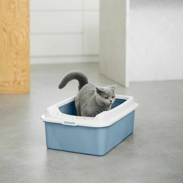 Rotho Katzentoilette Tray M Eco BONNIE