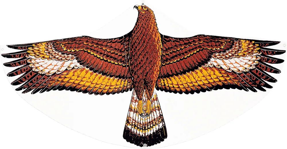 PBS Deutschland Süd GmbH & Co.KG Drachen Steinadler, 122x68cm GÜNTHE