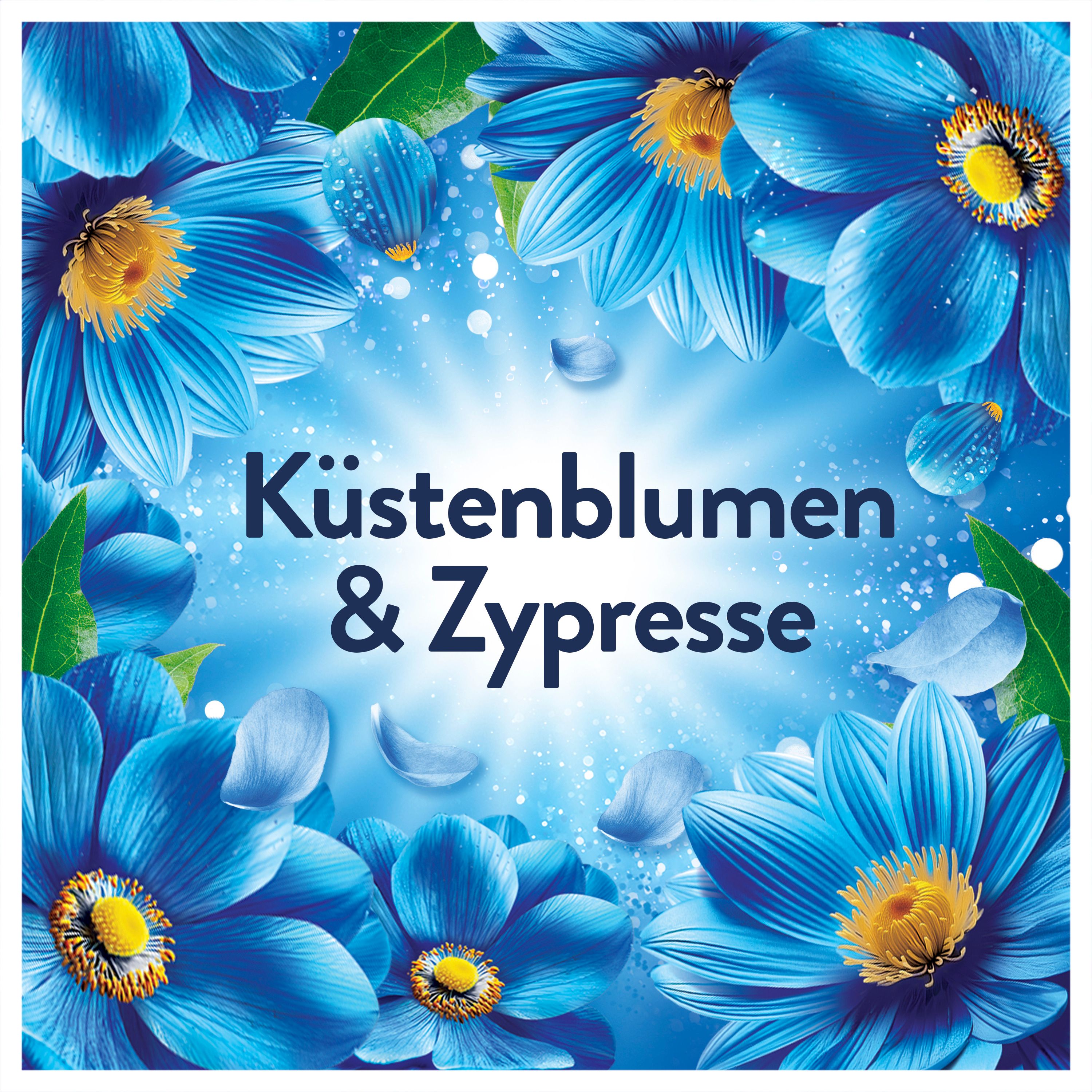 Lenor WSP Küstenblumen & Zypresse Duo-Pack 2x71WL