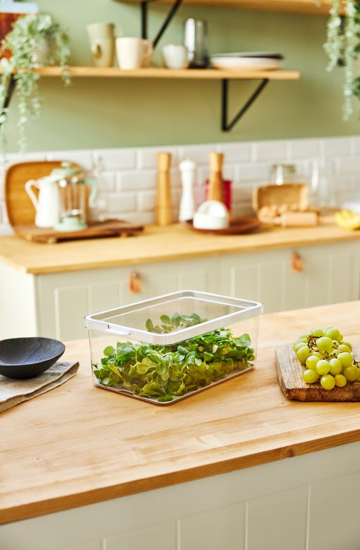 Rotho Kühlschrankorganizer 4,65 l CAUMA