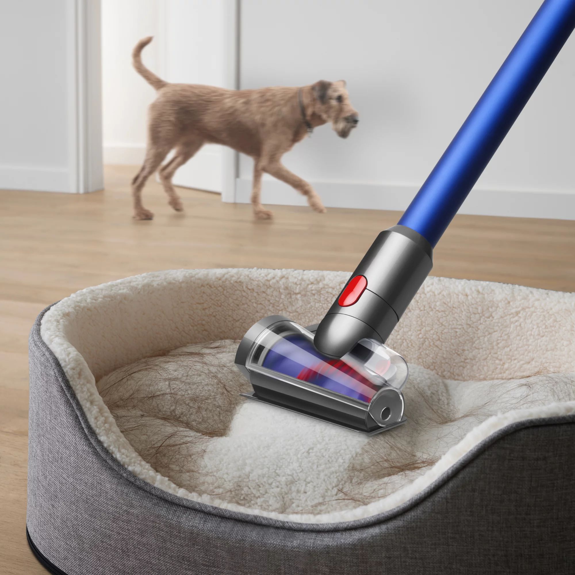 Dyson Erweitertes Reinigungsset Open-Box