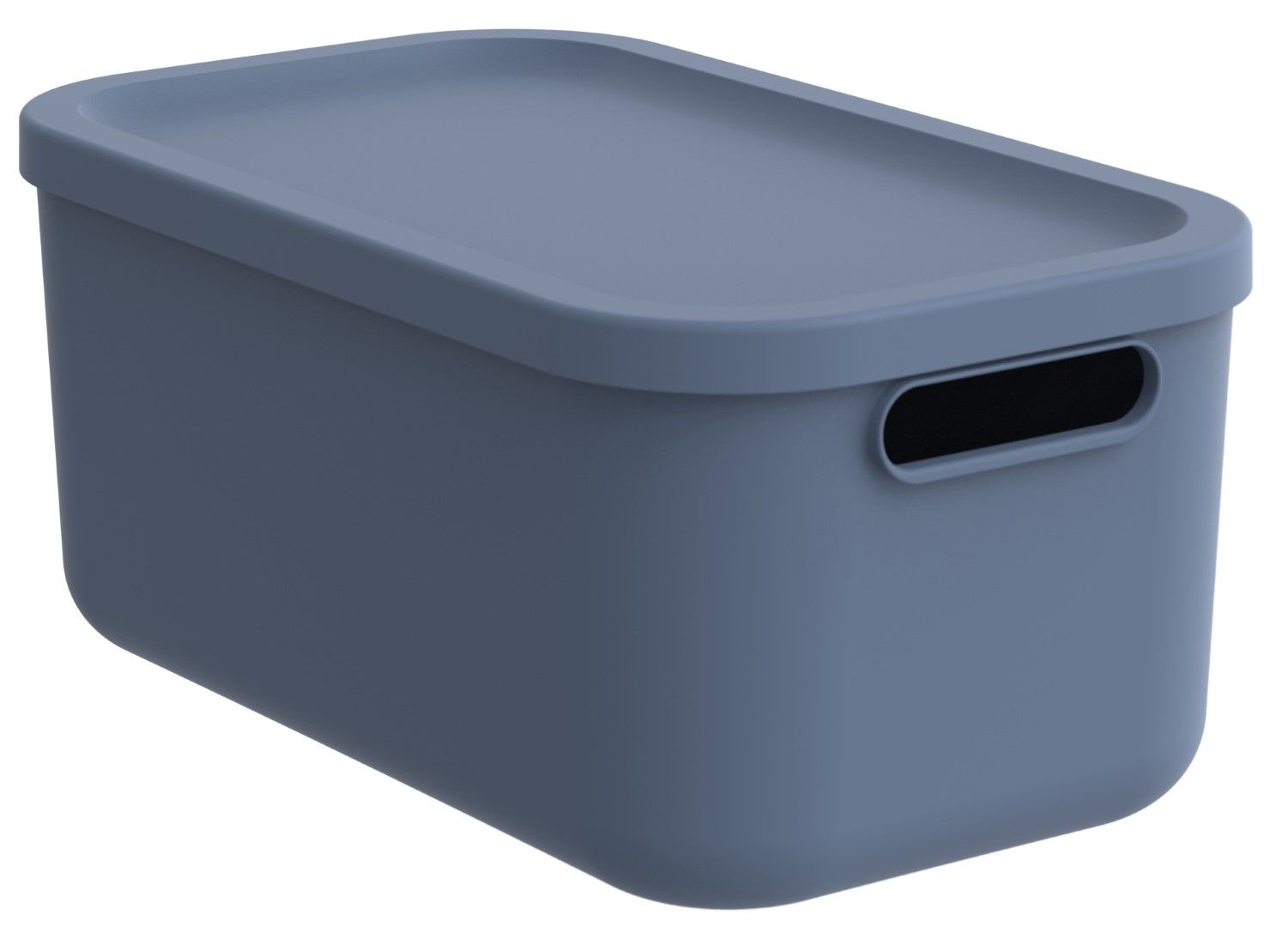 Rotho Box 12 l ALBULA LIGHT