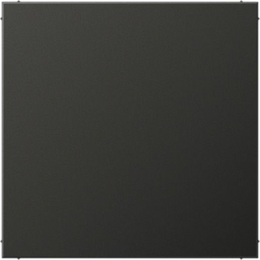 Jung BLIND-ABDECKUNG / JUNG AL2994BAN