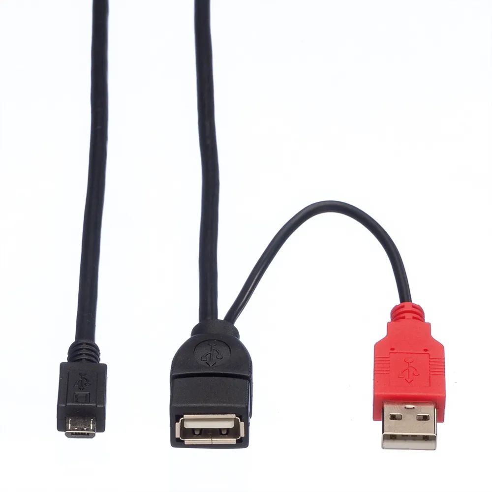 ROLINE USB 2.0 Y-Kabel, 2x Typ A (ST / BU) - Micro B ST, 1m