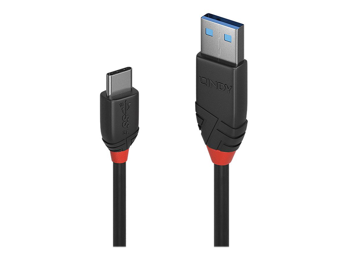 Lindy Black Line - USB-Kabel - USB Typ A (M)
