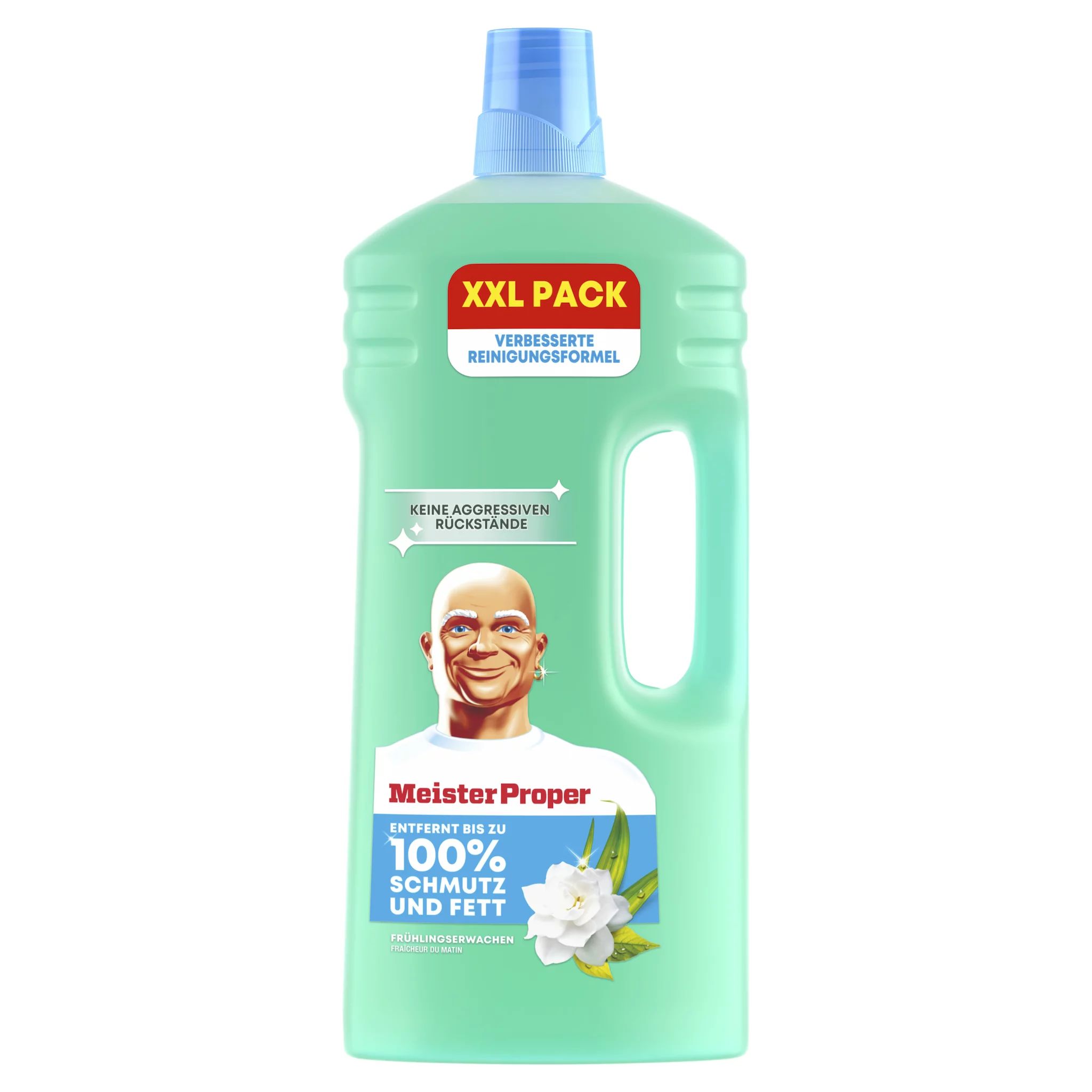 Meister Proper Frühlingserwachen 2L
