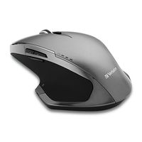Verbatim Deluxe - Maus - 8 Tasten - kabellos - 2.4 GHz - kabelloser Empfänger (USB)