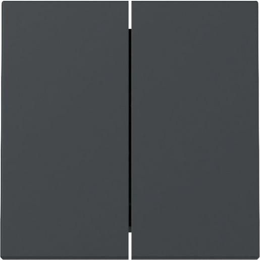 Gira WIPPE 2F SYSTEM 55 ANTHRAZIT / GIRA 329528 SYSTEM 55 329528