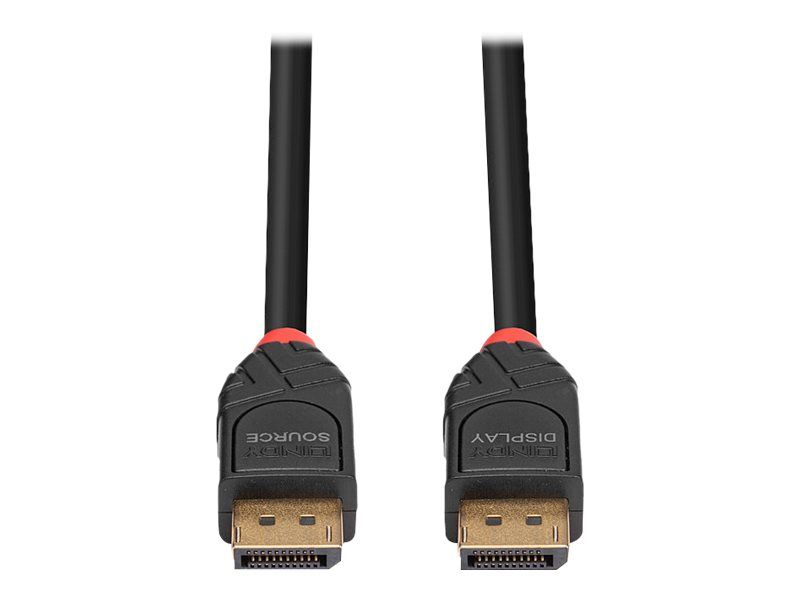 Lindy DisplayPort-Kabel - DisplayPort (M)