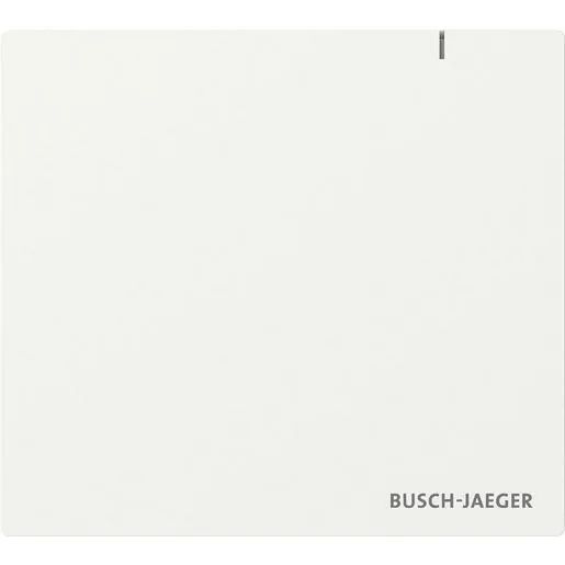 Busch-Jaeger SYSTEM ACCESS POINT 3.0 WIRELE / BUSCH SAP.13-WL 2CKA006200A0967