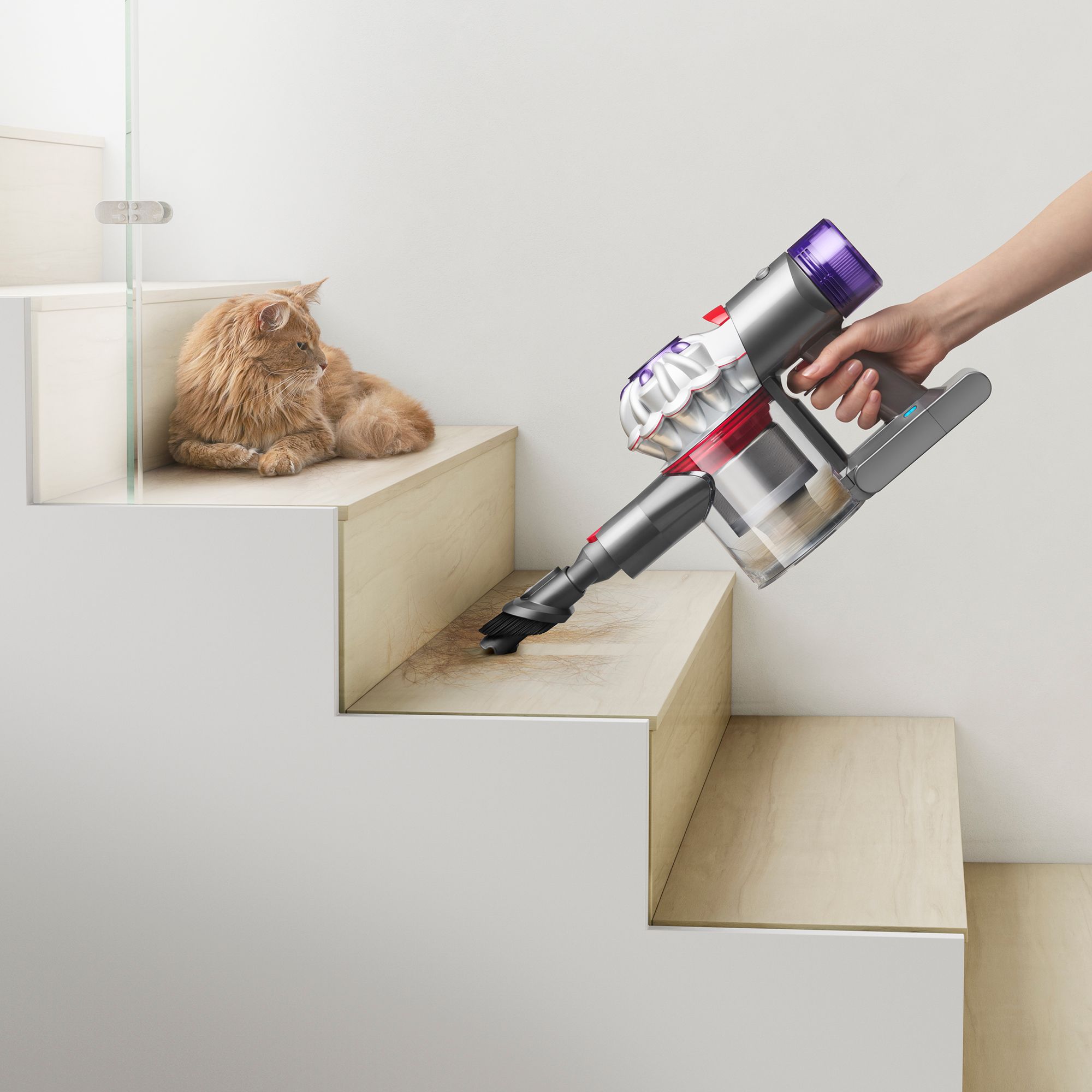 Dyson Car&Boat