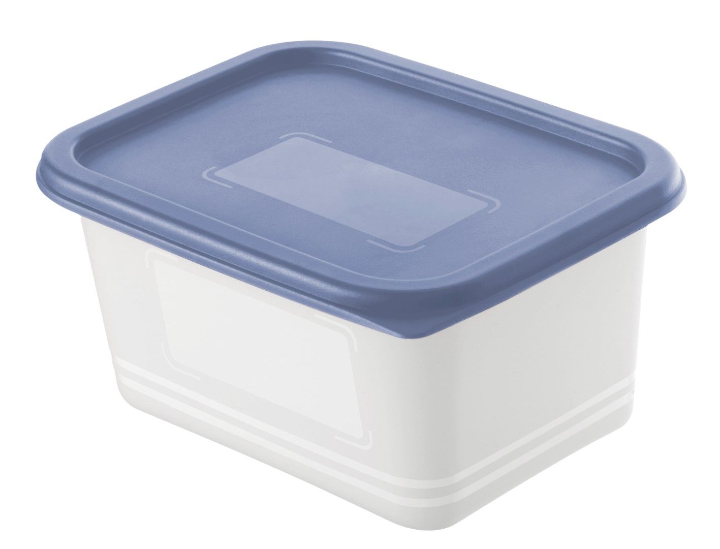 Rotho Set Gefrierdosen 4 x 0.5 l DOMINO