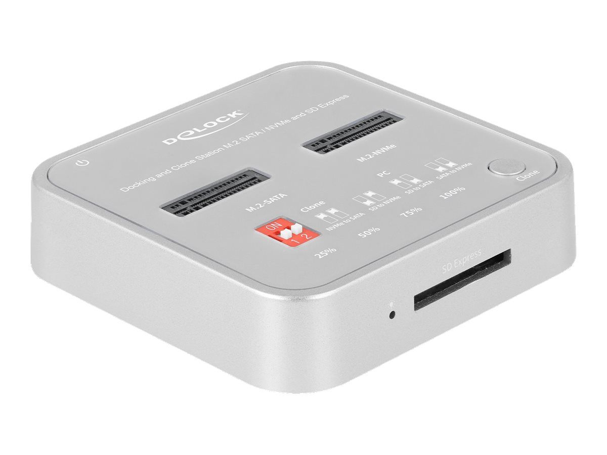 Delock SSD-Dockingstation Schächte: 2 - M.2 - M.2 NVMe Card - USB 3.2 (Gen 2)