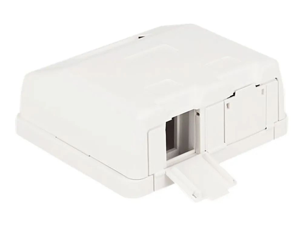 Delock Keystone Surface Mounted Box - Gehäuse mit modularen Einsätzen