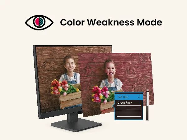 BenQ GW2490 Essential - 61 cm (24") (23.8" sichtbar)