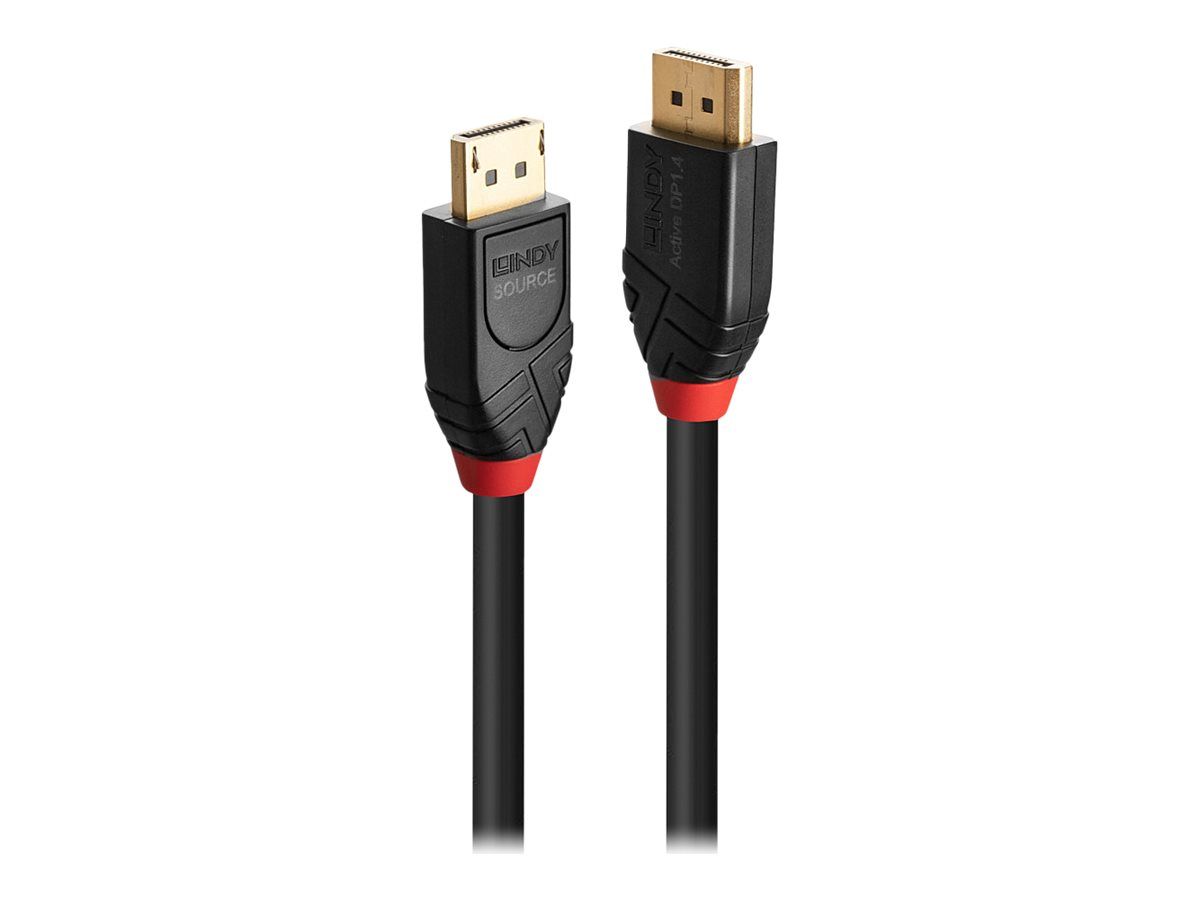 Lindy DisplayPort-Kabel - DisplayPort (M)