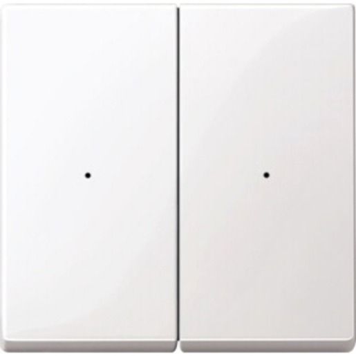 Merten WIPPEN F.TSMOD 2F TPB SYS.M / MERTEN 619219 PWS 619219