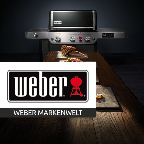 Weber-Markenshop-Banner