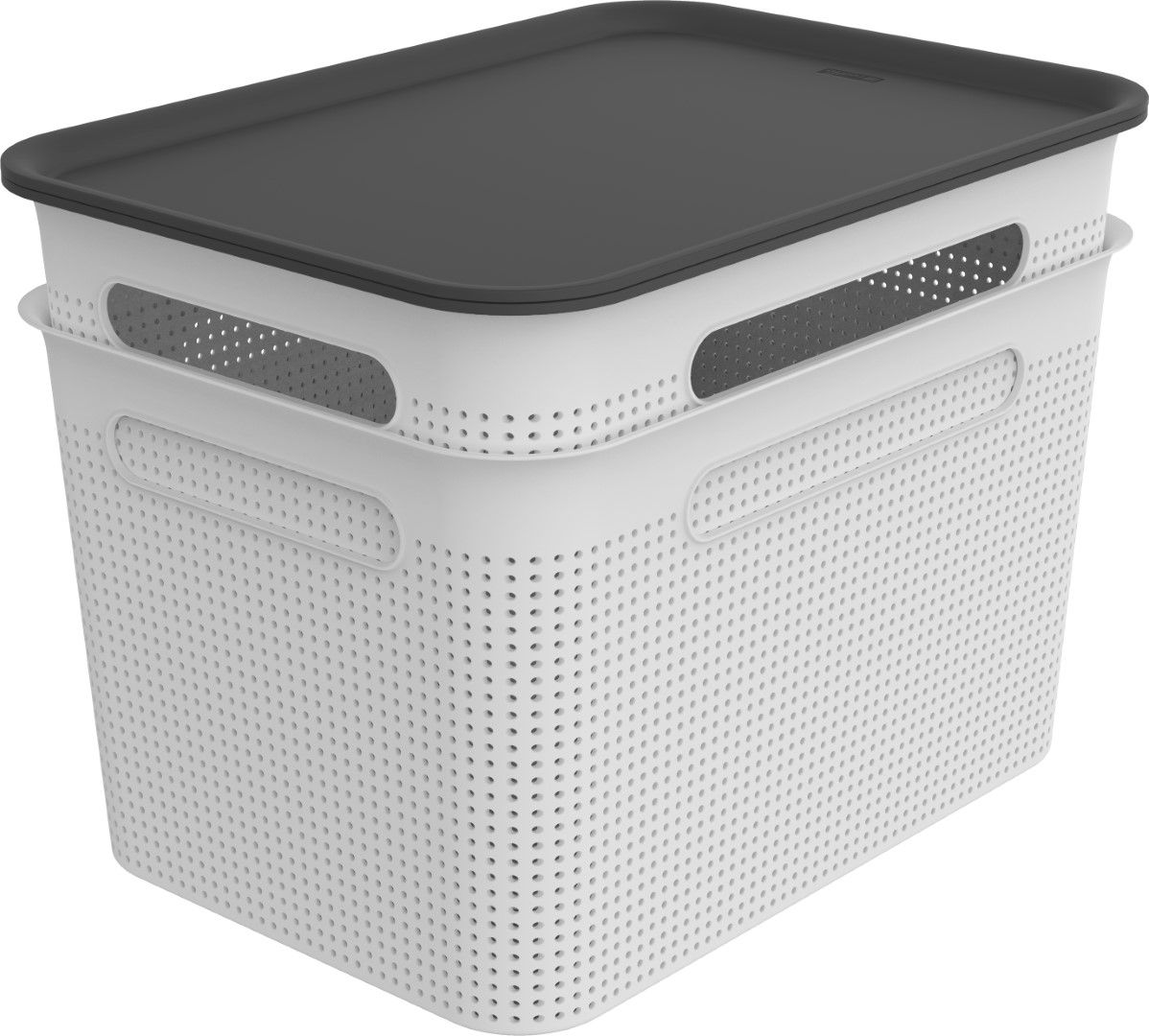 Rotho Box gross 16 l BRISEN