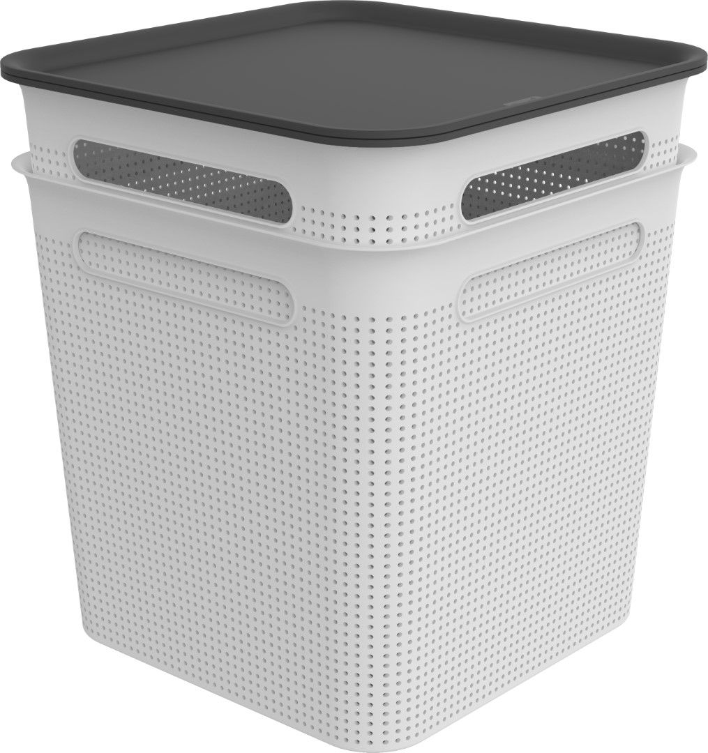 Rotho Box quadratisch 18 l BRISEN