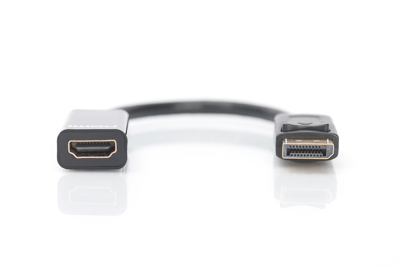 DIGITUS DisplayPort Adapter / Konverter