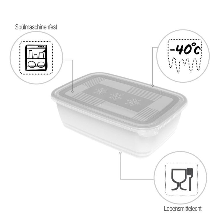 Rotho Gefrierdose 3.7 l FREEZE