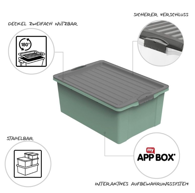 Rotho Stapelbox A3, 38 l COMPACT
