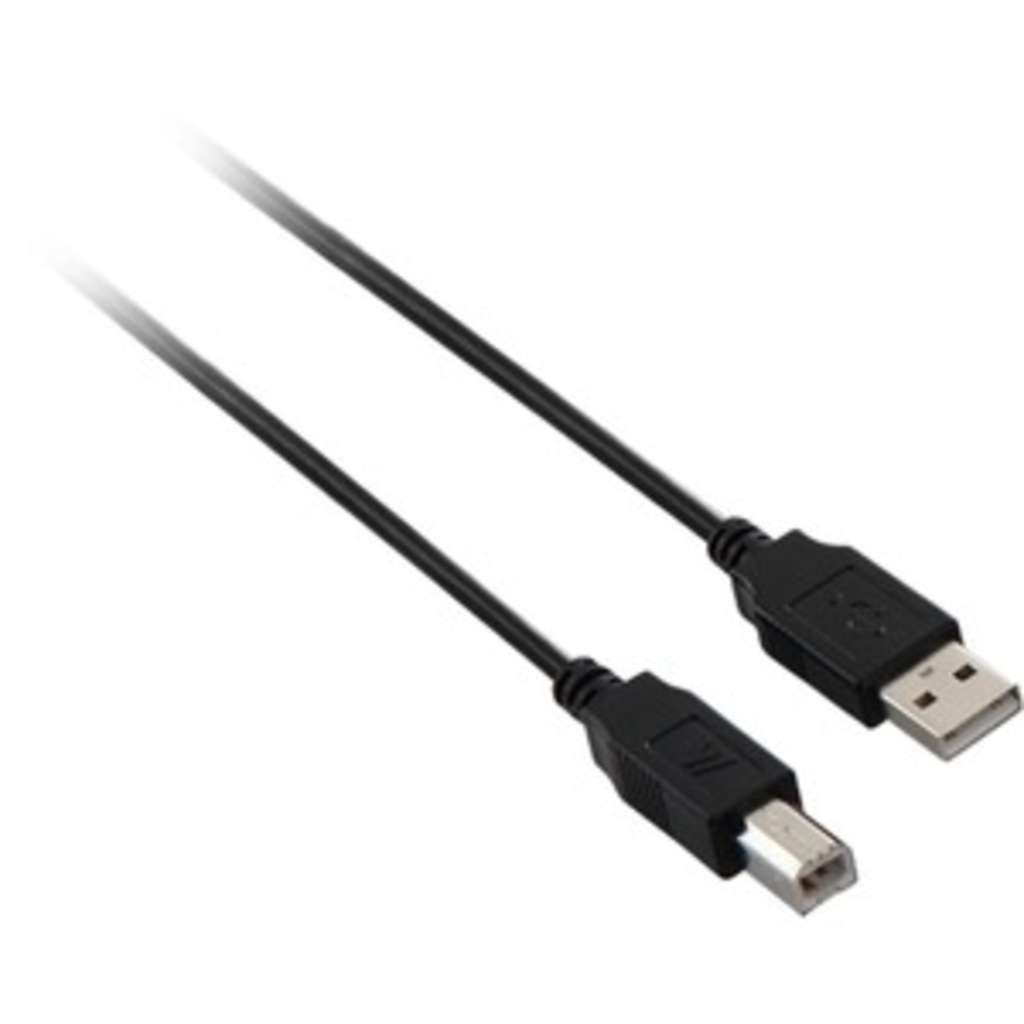 V7 USB-Kabel - USB (M) zu USB Typ B (M) - USB 2.0