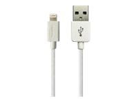 SANDBERG Lade-/Datenkabel - USB männlich zu Lightning männlich