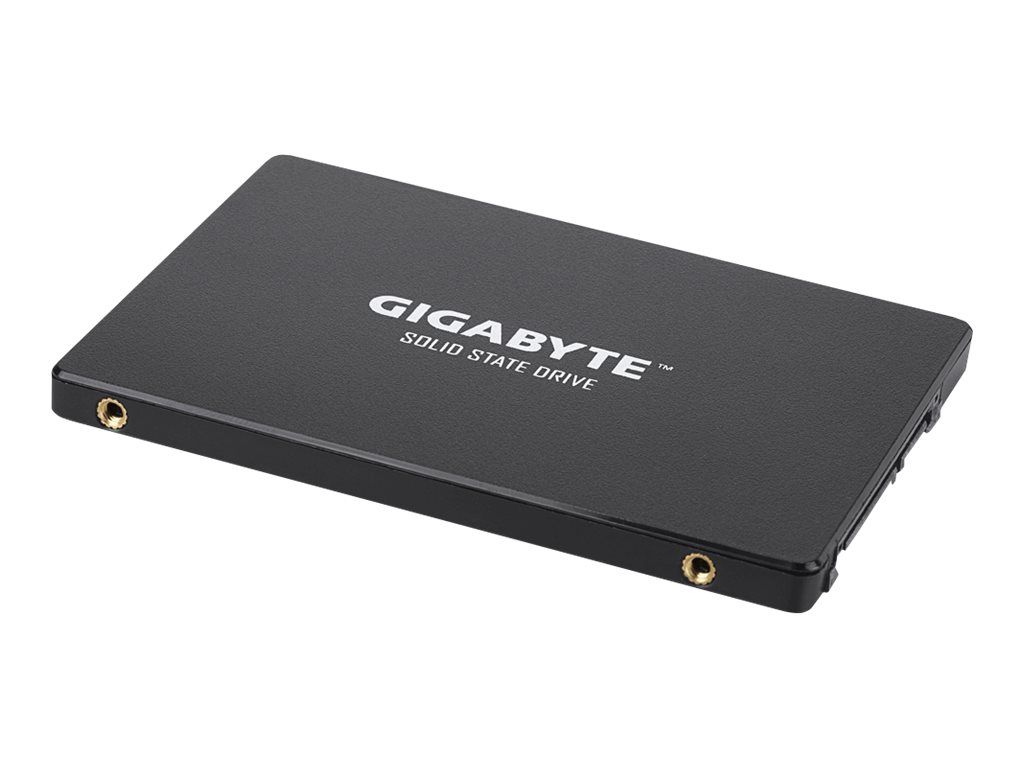 Gigabyte SSD - 256 GB - intern - 2.5" (6.4 cm)