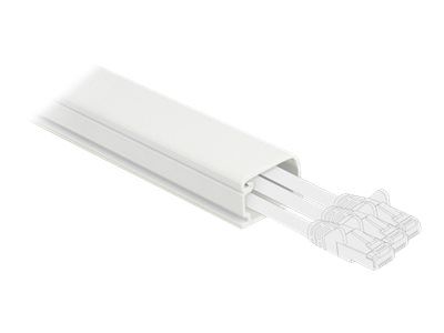 Delock Kabelkanal mit Abdeckung - 1 m - weiß