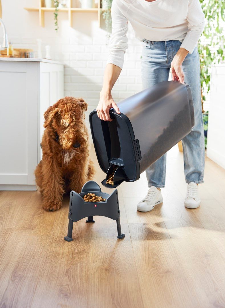 Rotho Cody Tierfutterbehälter 50 l
