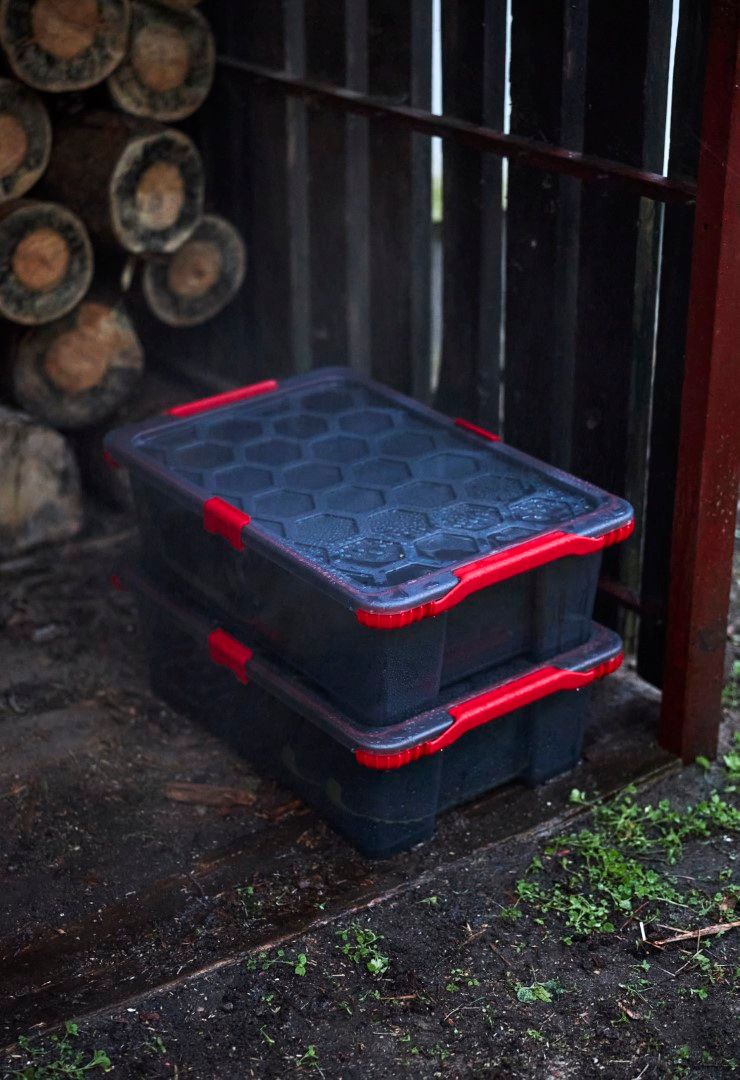 Rotho Box 30 l EVO TOTAL