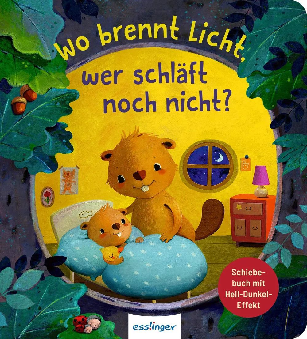 Thienemann - Esslinger Verlag GmbH Wo brennt Licht, wer schläft noch nicht?