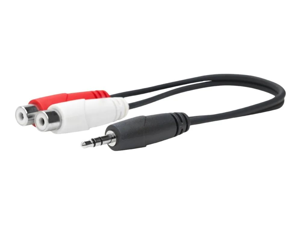 VivoLink Audiokabel - RCA x 2 weiblich zu mini-phone