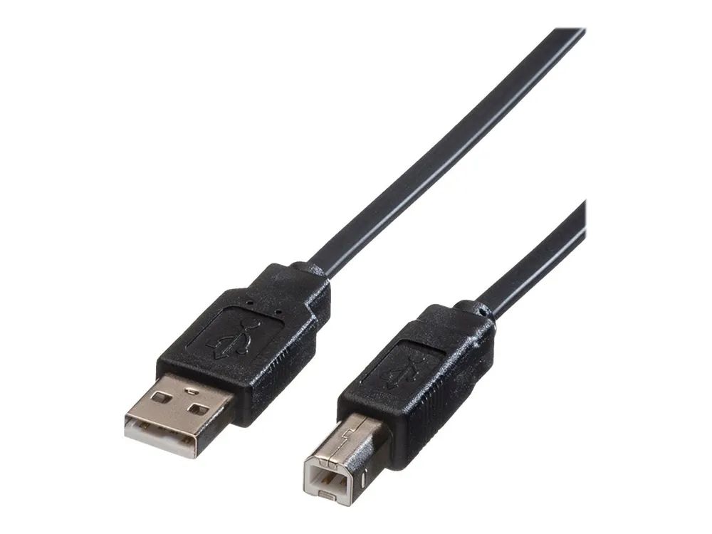 ROLINE USB-Kabel - USB (M) zu USB Typ B (M)
