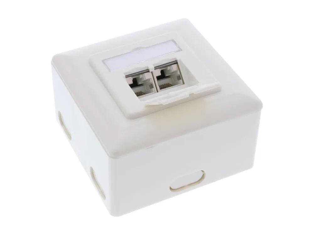 InLine Cat.6A Anschlussdose - AP/UP 2x RJ45 Buchse - RAL9010 - weiß - waagerecht